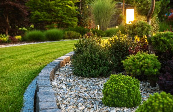 Cost of Bush Relocation in Wichita Falls